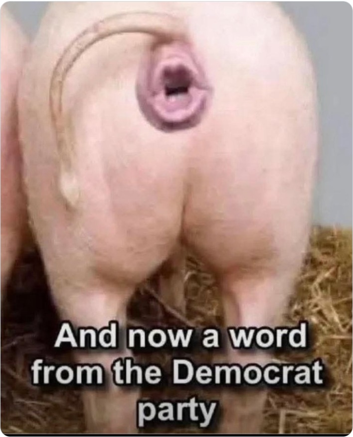 Liberals mental ilness